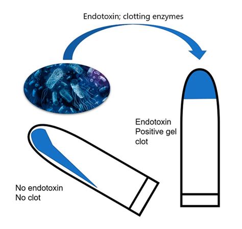 Bacterial Endotoxin Test using LAL : overcoming .